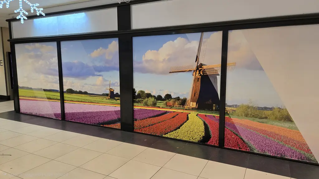 20251114_135251(1)wb